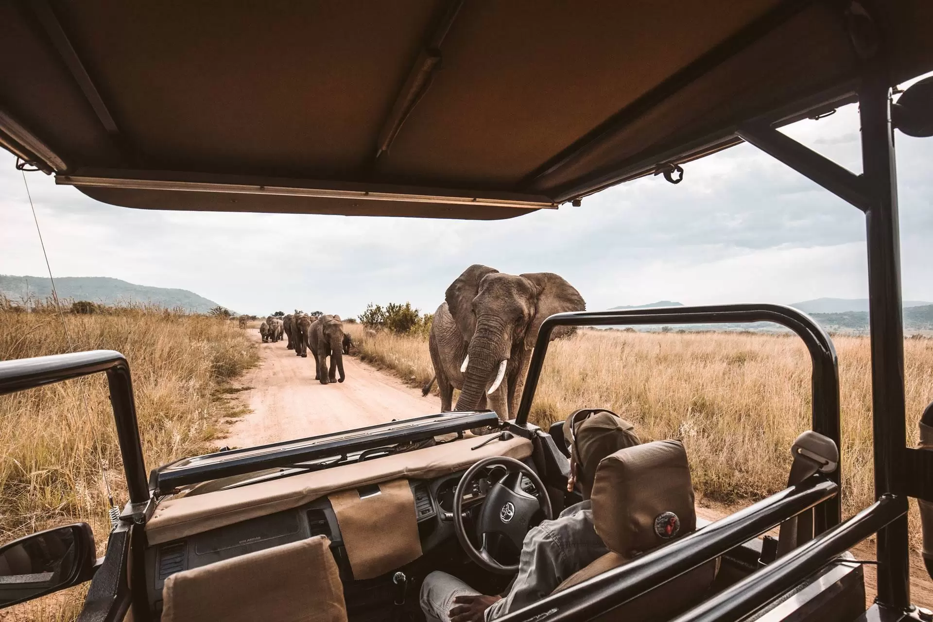 5 Days The Big5 Family Safari