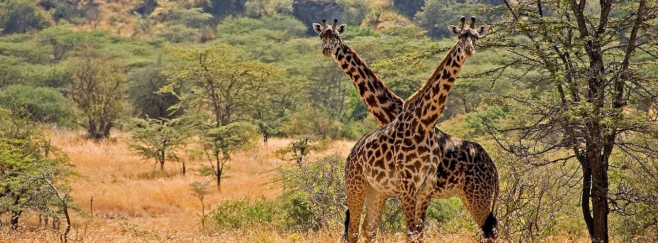 Kidepo Valley National Park