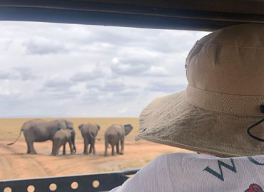 2 Days Tanzania Lodge Safari
