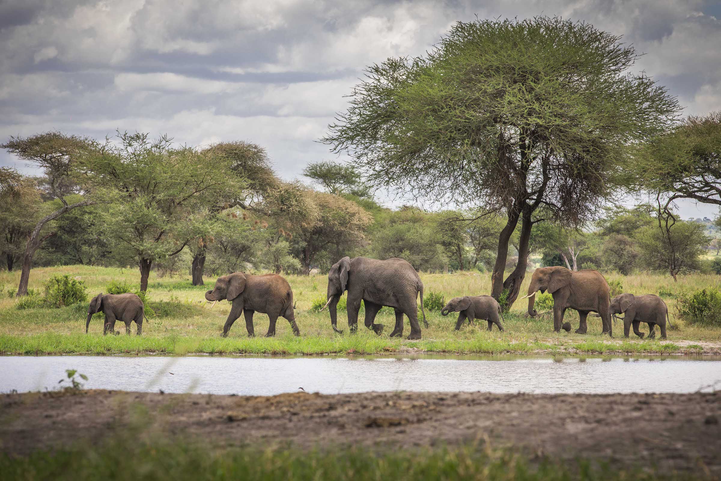 Tanzania