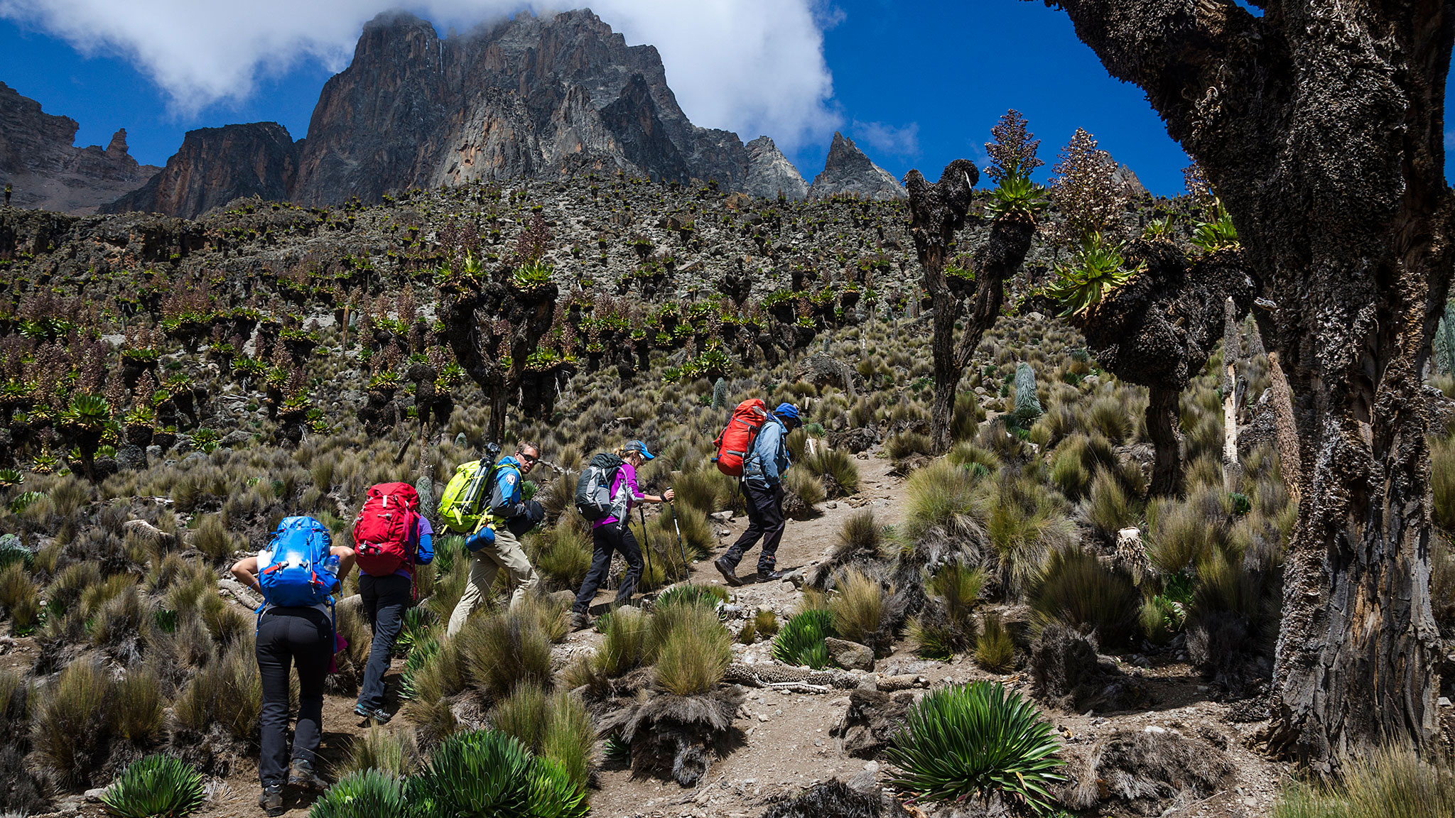 6 Days/5 Nights Mount Kenya Climb Sirimon Route