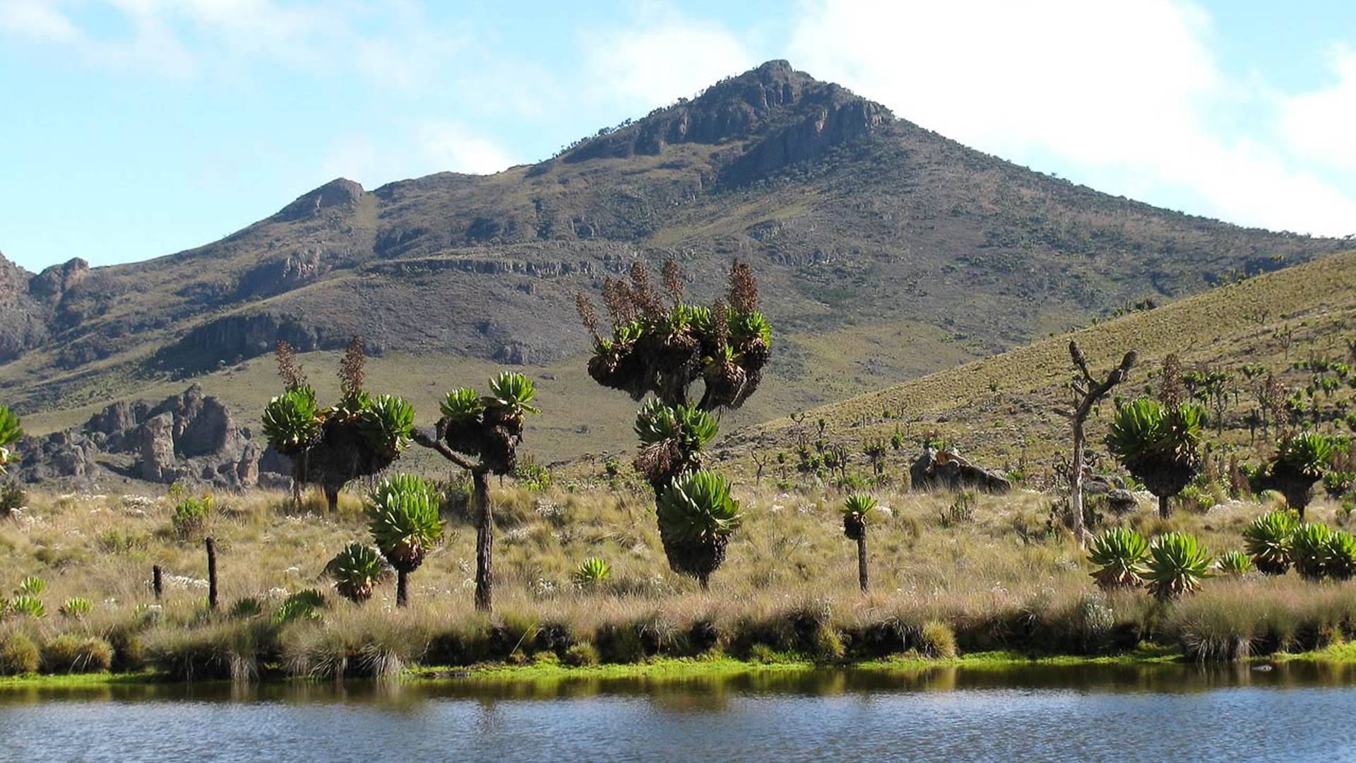Mount Elgon National Park