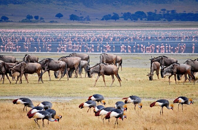 Lake Manyara — photo 1