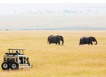 4 Days Private Safari