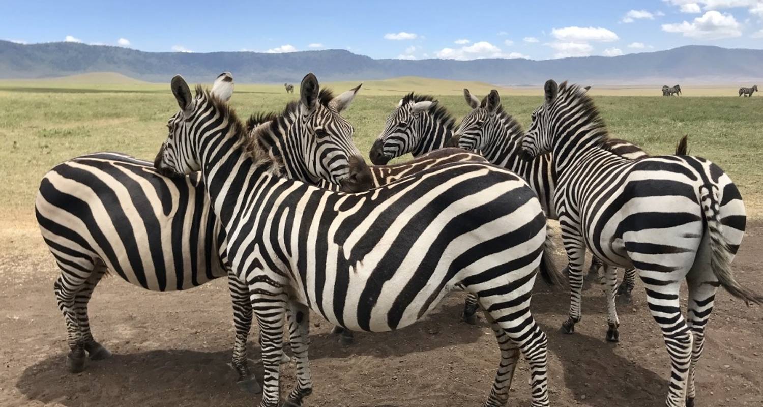 Ngorongoro Day Tour