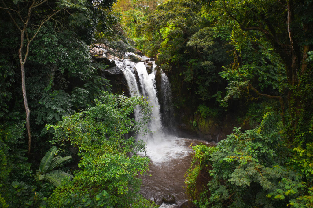 Marangu Waterfalls Day Trip