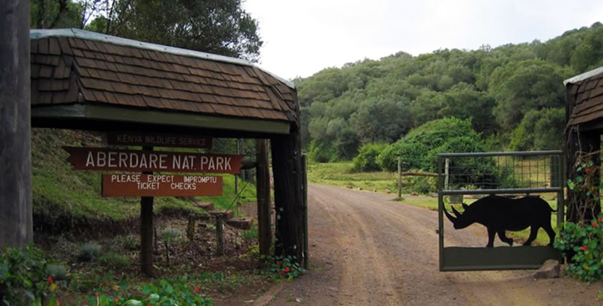 Aberdare National Park