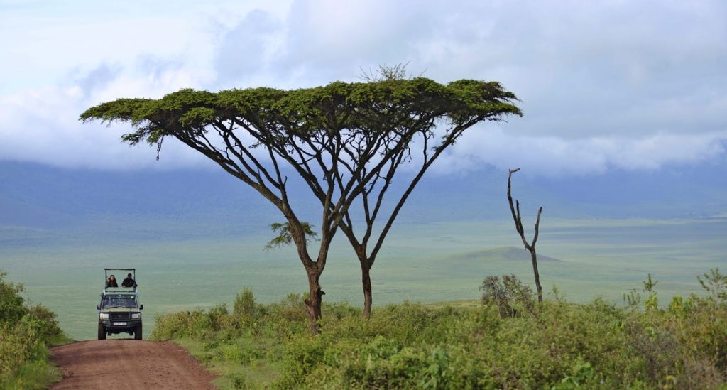 Ngorongoro — photo 2