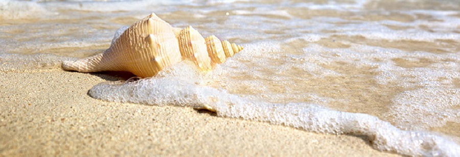 3 Days 2 Nights Zanzibar Holiday