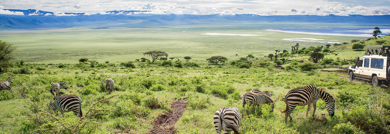 Tarangire — photo 4