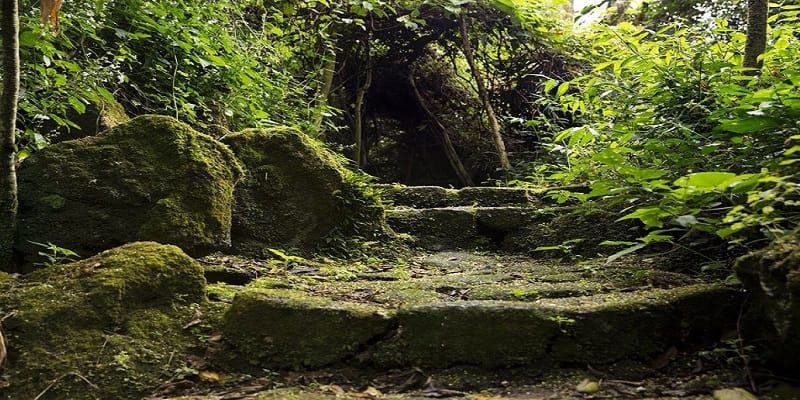 Buhanga Eco Park