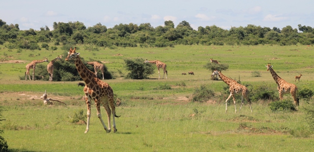 Uganda — photo 3