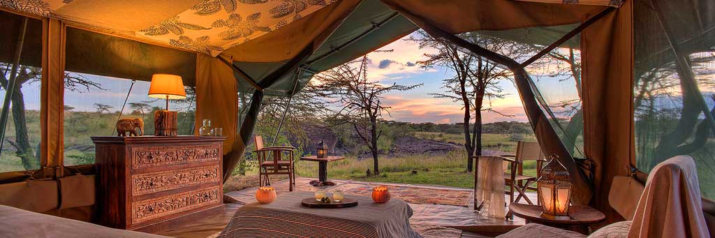 6 Days Luxury Safari